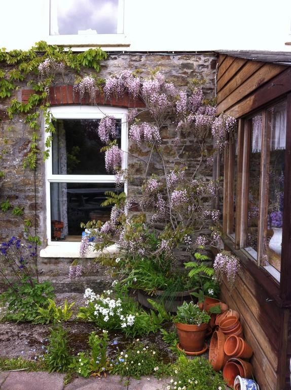 Vine Cottage Penpillick Eksteriør billede