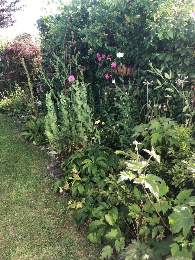 Vine Cottage Penpillick Eksteriør billede