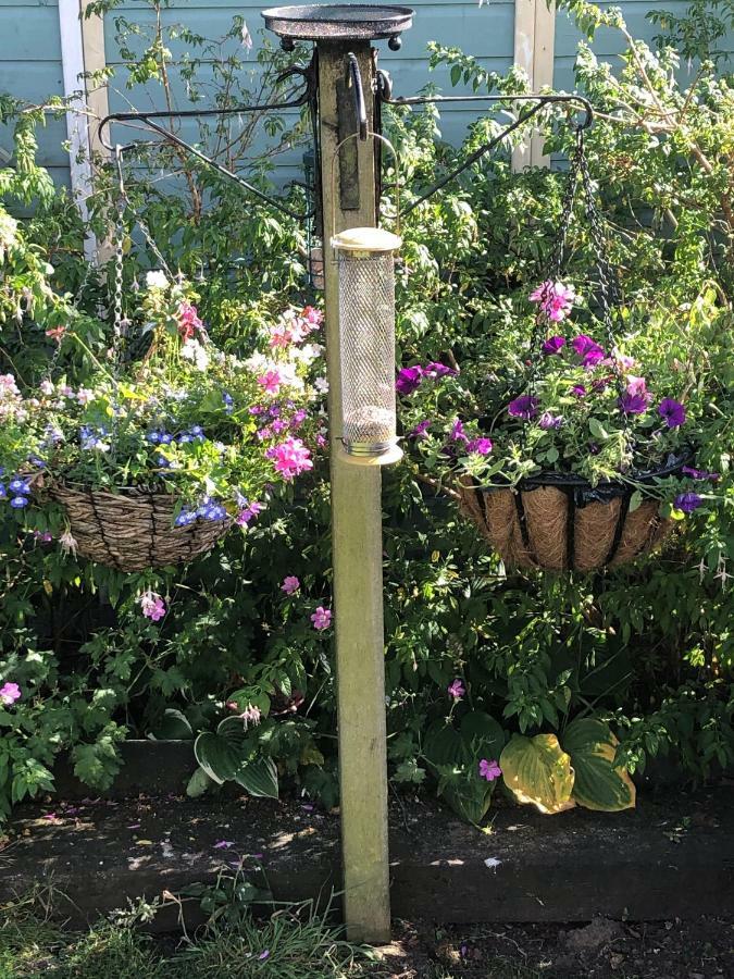 Vine Cottage Penpillick Eksteriør billede